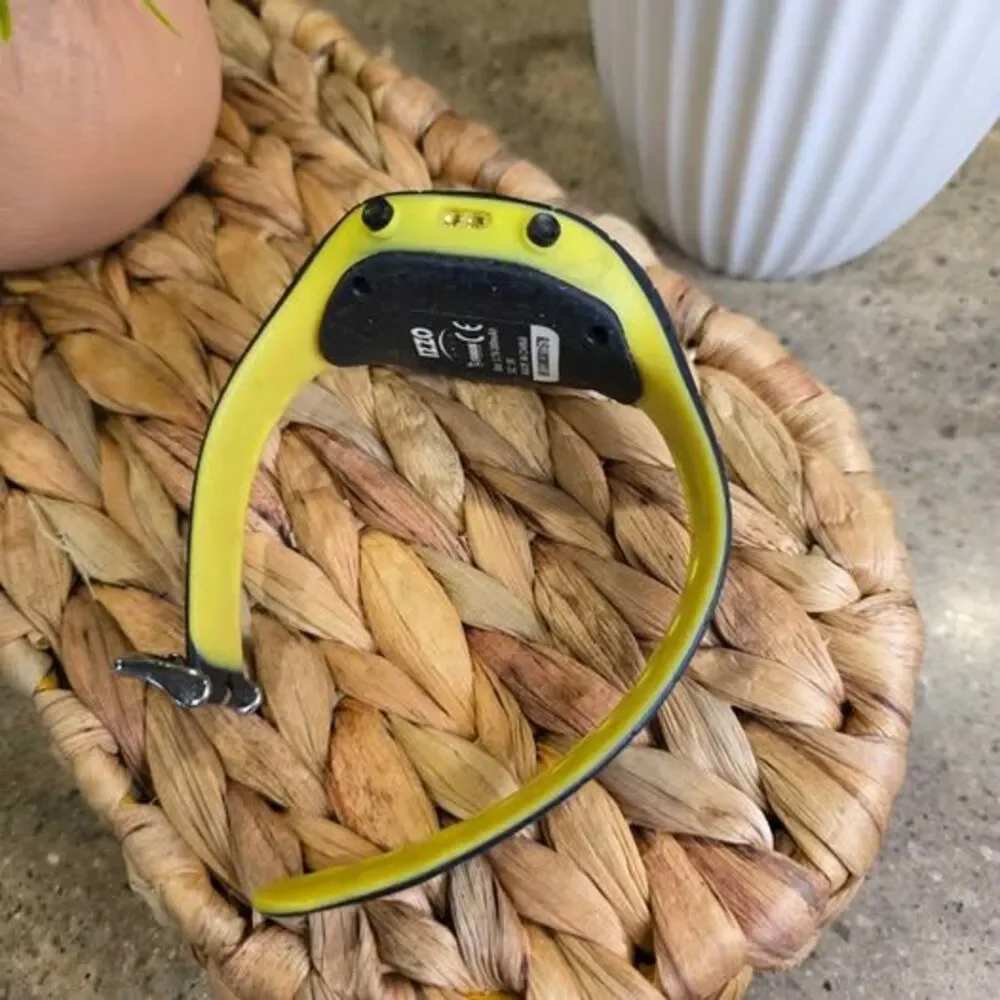 Izzo Swami Golf GPS Watch Project